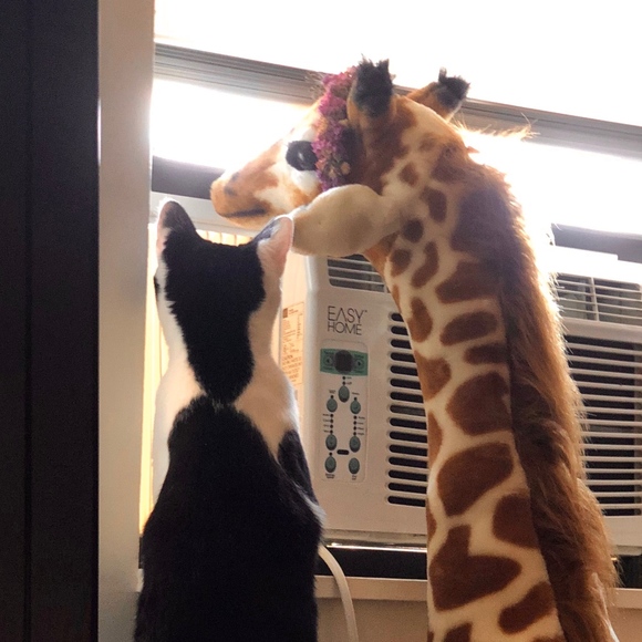 Meet your Posher, Claire - Picture 1 of 2